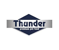THUNDER