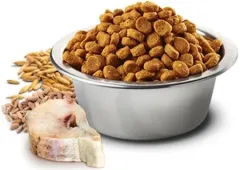 N&D Düşük Tahıllı Morina Balık ve Portakallı Kedi Maması 10 kg