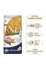 N&D Düşük Tahıllı Kuzulu Yaban Mersinli Yavru Medium&Maxi Köpek Maması 12Kg