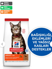 Hill's Adult Optimal Care Kuzu Etli ve Pirinçli 10 kg Yetişkin Kuru Kedi Maması